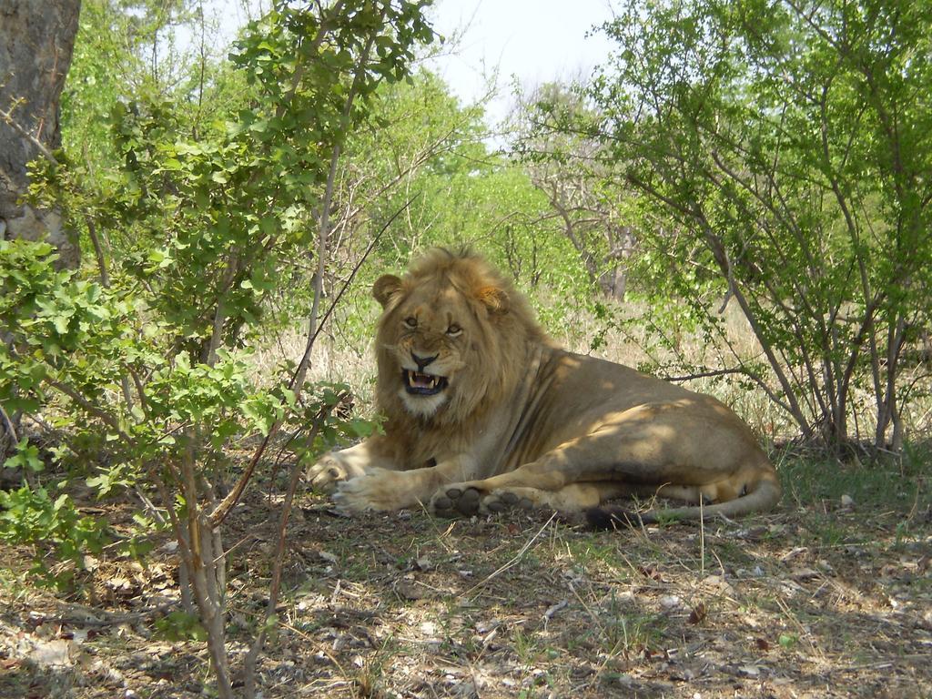 Manzini River House - Mjejane Private Game Reserve, Greater Kruger National Park Hectorspruit Exterior foto